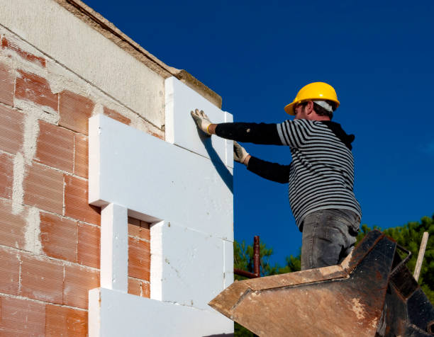 Best Commercial Insulation in Eyota, MN