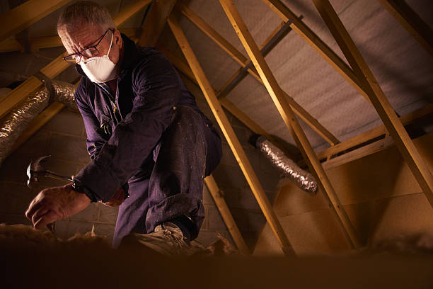 Best Insulation for Specific Applications in Eyota, MN